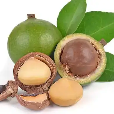 Macadamia nuts
