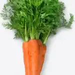Carrots