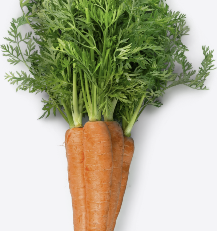 Fresh carrots